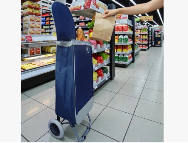 Carro De Mercado En Lona Plegable Carrito De Compras