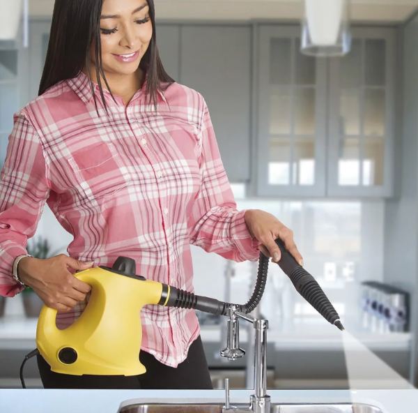 Limpiadora A Vapor Multiuso Renahouse Steam Cleaner 15 In 1 110/220v