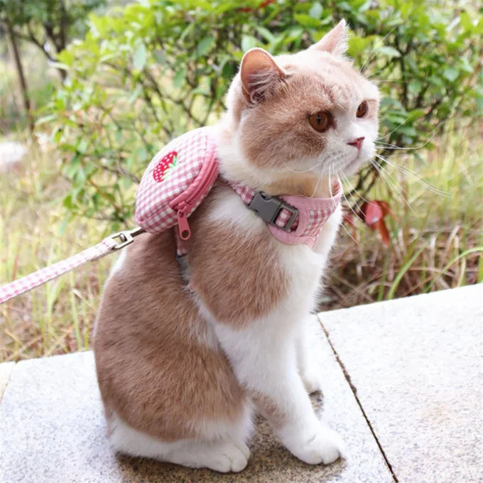Arnes para gato frutas 3pz